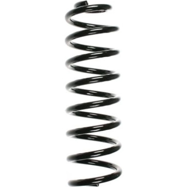 Spidan 2 x SPIDAN Fahrwerksfeder 56155