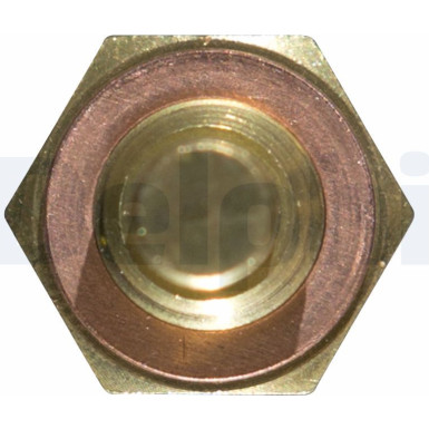 Delphi | Sensor, Kühlmitteltemperatur | TS10250