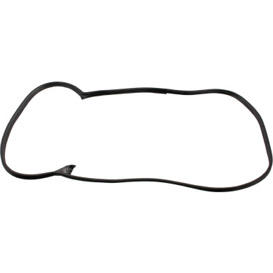 FEBI BILSTEIN 08875 Türdichtung