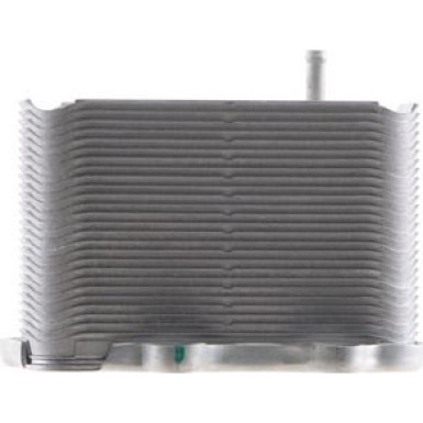Mahle | Ölkühler, Motoröl | CLC 156 000S