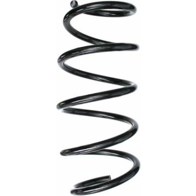 Spidan | Fahrwerksfeder | 87506