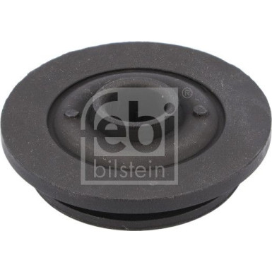 FEBI BILSTEIN 184381 Lagerung, Kühler