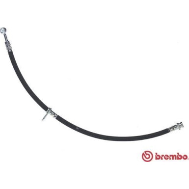 Brembo | Bremsschlauch | T 79 042