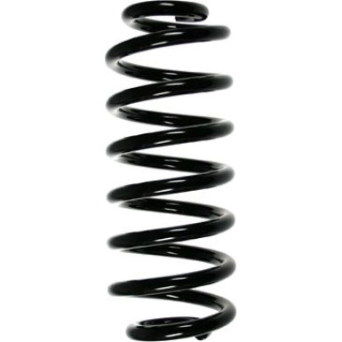 Spidan | Fahrwerksfeder | 55114
