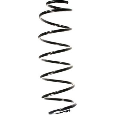Spidan | Fahrwerksfeder | 55165