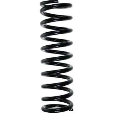Spidan | Fahrwerksfeder | 55596