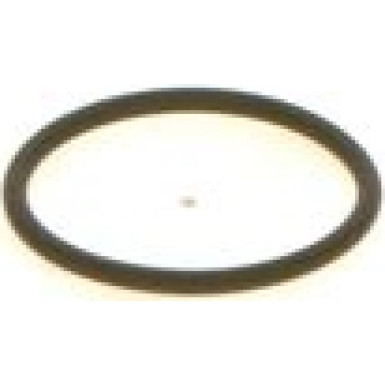 BOSCH | Dichtring | 1 410 257 042