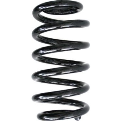 Spidan | Fahrwerksfeder | 56862