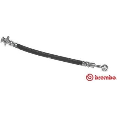 Brembo | Bremsschlauch | T 56 144