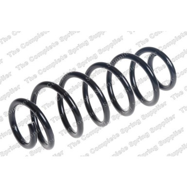 4255473 Fahrwerksfeder