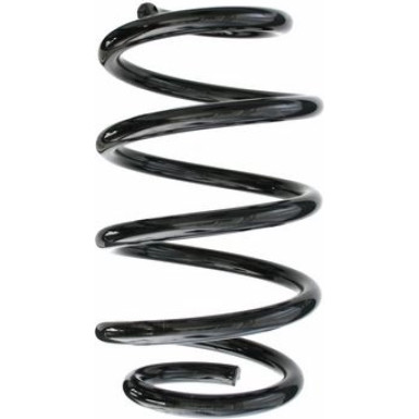 Spidan | Fahrwerksfeder | 87498