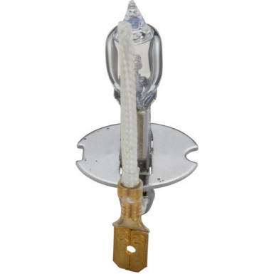 BOSCH | Glühlampe, Hauptscheinwerfer | 1 987 302 431