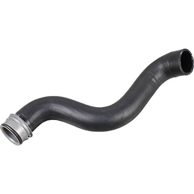 2421182 Kühlerschlauch