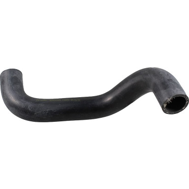 2421594 Kühlerschlauch 2421594 Kühlerschlauch