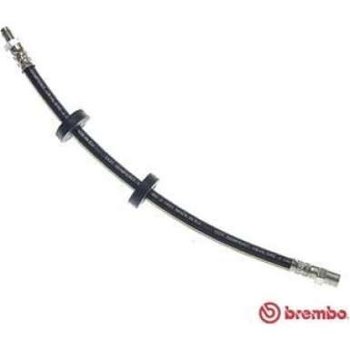Brembo | Bremsschlauch | T 85 058