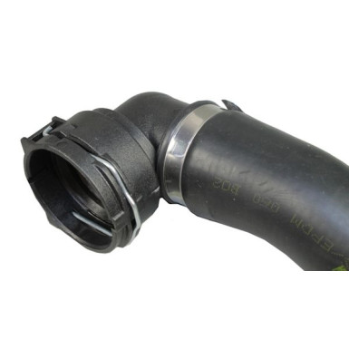 2420191 Kühlerschlauch