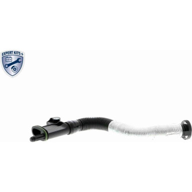 V10-3879 Schlauch, Zylinderkopfhaubenentlüftung Original VAICO Qualität