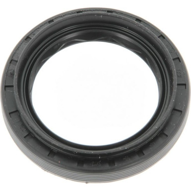 01036920B Wellendichtring, Differential