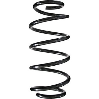 Spidan | Fahrwerksfeder | 55979