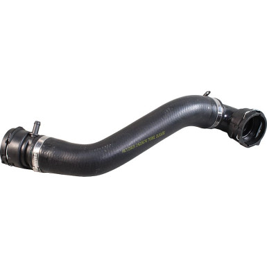 2420670 Kühlerschlauch