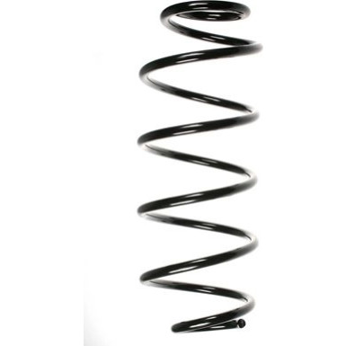 Spidan | Fahrwerksfeder | 55589