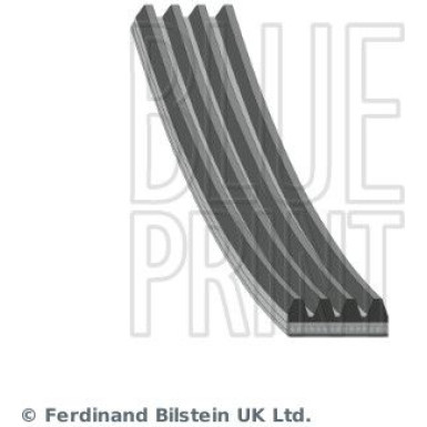 Blue Print | Keilrippenriemen | AD04R1155