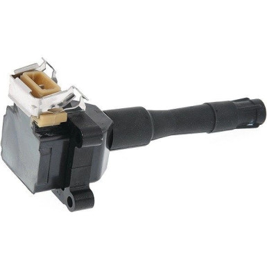 060717122012 Zündspule