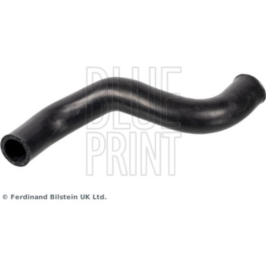 Blue Print | Kühlerschlauch | ADBP930004