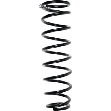 Spidan | Fahrwerksfeder | 55463