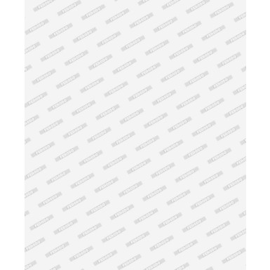 FDB5381 Bremsbelagsatz, Scheibenbremse PREMIER ECO FRICTION