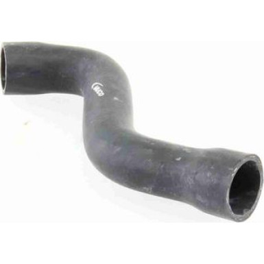 Vaico | Kühlerschlauch | V30-1624