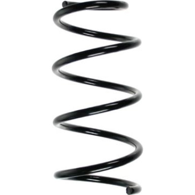 Spidan | Fahrwerksfeder | 85015