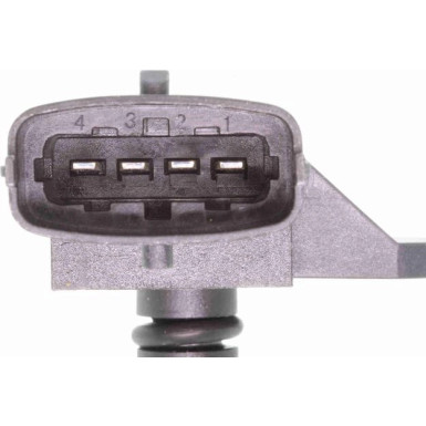 Vemo | Sensor, Ladedruck | V24-72-0075