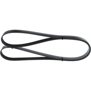 1 987 946 259 Keilrippenriemen