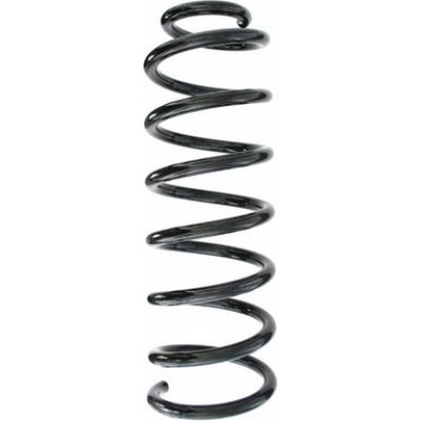 Spidan | Fahrwerksfeder | 48704