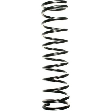 Spidan | Fahrwerksfeder | 49713