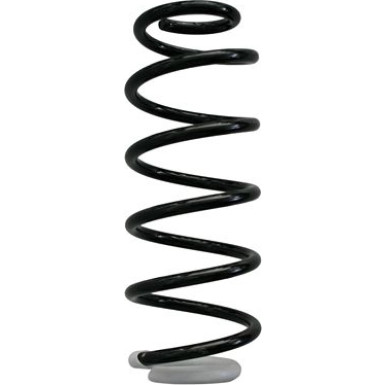 Spidan | Fahrwerksfeder | 87366
