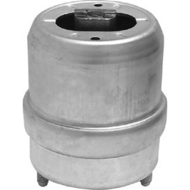 8053693 Lagerung, Motor