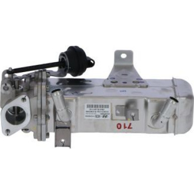 48381 Kühler, Abgasrückführung