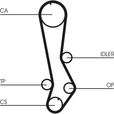 CT876 Zahnriemen