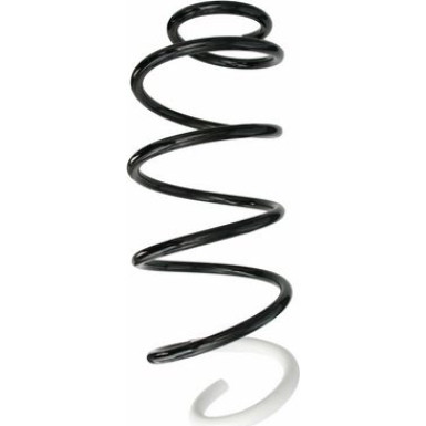 Spidan | Fahrwerksfeder | 87717