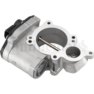 408-265-001-007Z AGR-Ventil