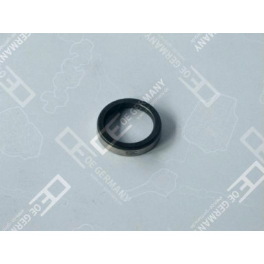 OE Germany | Ventilsitzring | 03 0123 D12A00 OE Germany | Ventilsitzring | 03 0123 D12A00