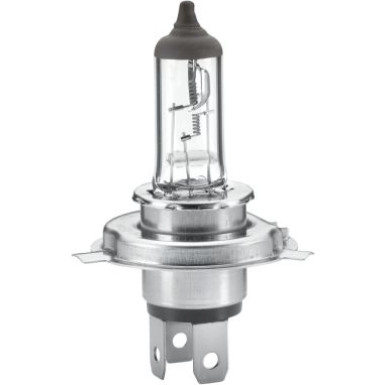 8GJ 002 525-251 Glühlampe HEAVY DUTY