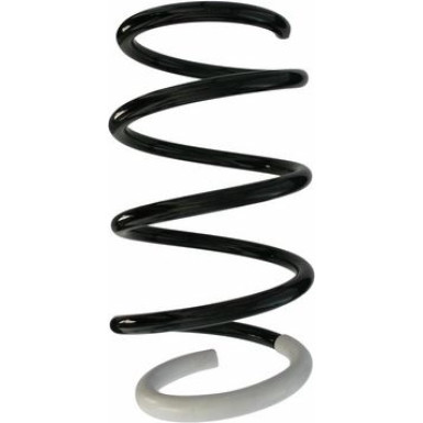 Spidan | Fahrwerksfeder | 87725