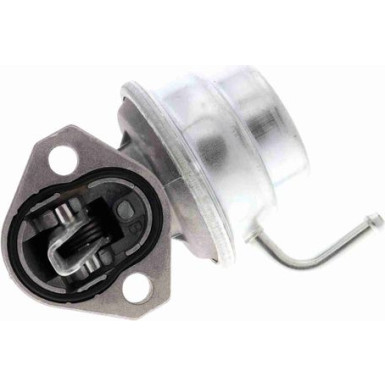 V10-0806 Kraftstoffpumpe Original VAICO Qualität