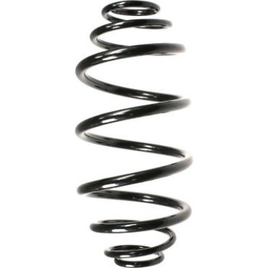 Spidan | Fahrwerksfeder | 49782