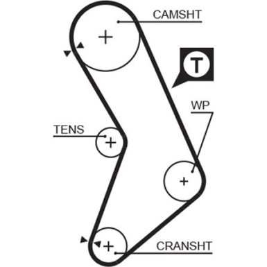 5545XS Zahnriemen PowerGrip™