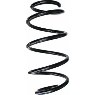 Spidan | Fahrwerksfeder | 87704