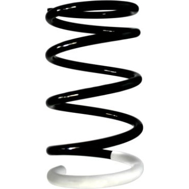 Spidan | Fahrwerksfeder | 87118
